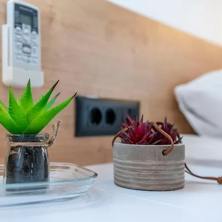 Pinna - Caretta Apartamento *